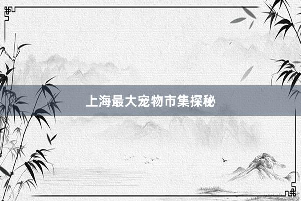 上海最大宠物市集探秘